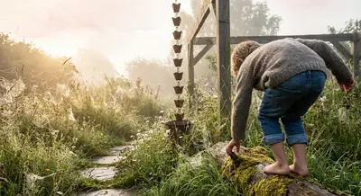 Wild Edges, Gentle Lines: Landscaping That Lets Nature Lead